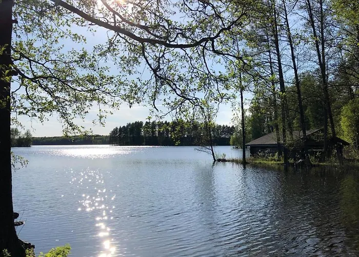 Palsin Tila * Hirvensalmi